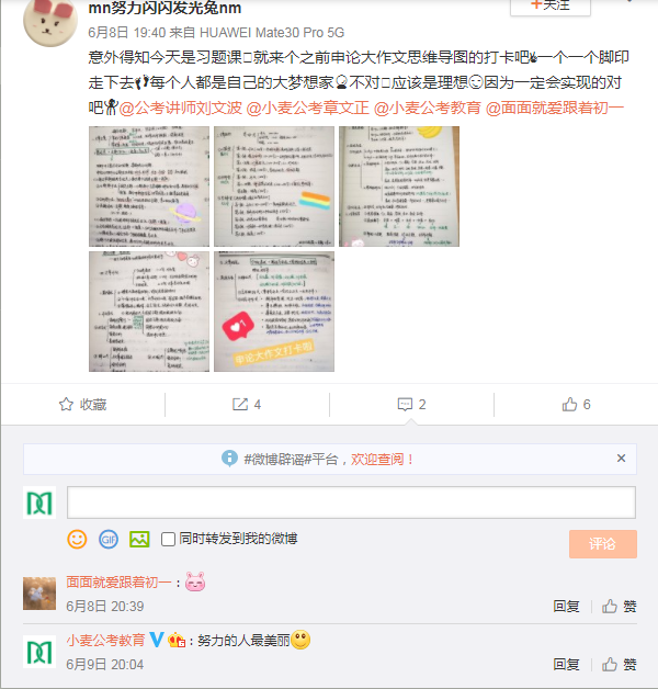 mn努力闪闪发光兔nm.png