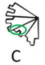xiaomai